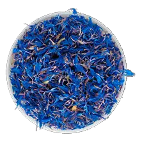 Nevädza (Centaurea cyanus) – surovina čajov Lovare