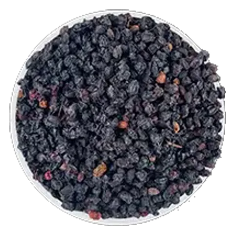 Baza čierna (Sambucus nigra) – surovina čajov Lovare