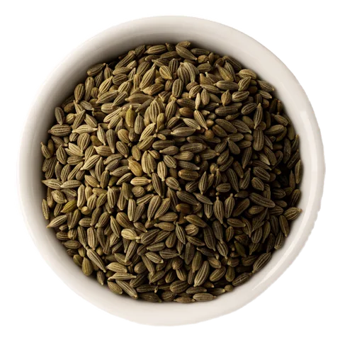 Fenikel (Foeniculum vulgare) – surovina čajov Lovare
