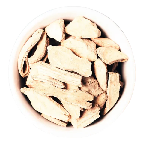 Zázvor (Zingiber officinale) – surovina čajov Lovare