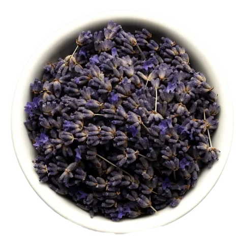 Levanduľa (Lavandula angustifolia) – surovina čajov Lovare