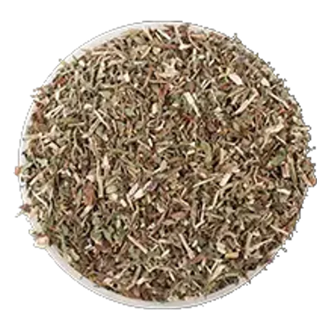 Medovka (Melissa officinalis) – surovina čajov Lovare