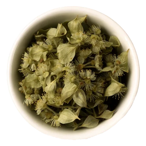 Lipový kvet (Tilia cordata) – surovina čajov Lovare