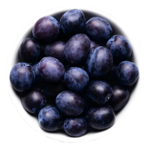 Slivka (Prunus domestica) – surovina čajov Lovare