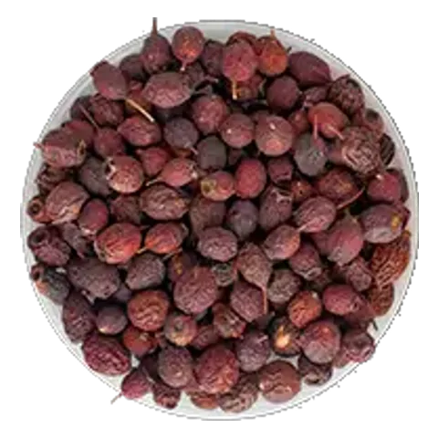 Šípky (Rosa canina) – surovina čajov Lovare